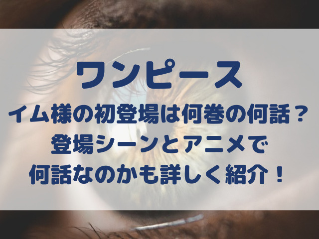 ワンピース　イム様　初登場　何巻　何話　登場シーン　アニメ　何話なのか