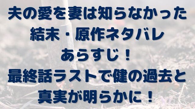 夫の愛を妻は知らなかった　結末　原作ネタバレ　小説　最終話　ラスト　健の過去