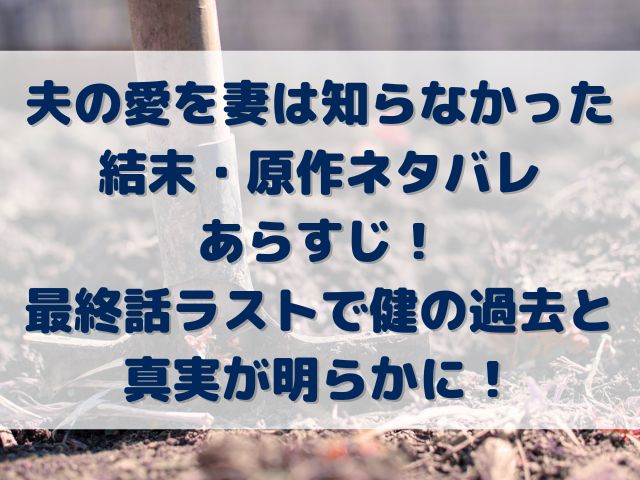 夫の愛を妻は知らなかった　結末　原作ネタバレ　小説　最終話　ラスト　健の過去