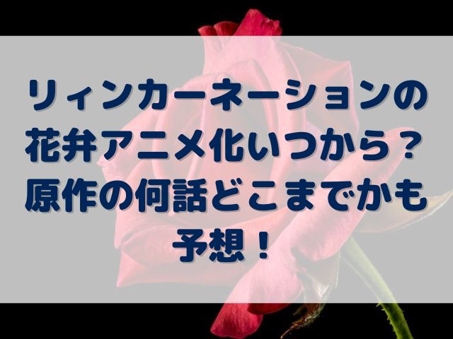 リィンカーネーションの花弁　アニメ化　いつから　原作　何話　どこまで