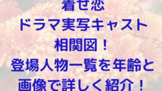 着せ恋　ドラマ　実写　キャスト　相関図　登場人物　一覧　年齢　画像